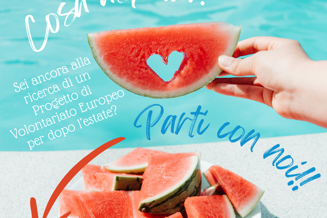 Sei ancora alla ricerca di un Progetto di Volontariato Europeo per dopo l’estate.