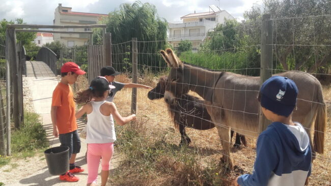 ESC_Portogallo_Portimao_fattoria